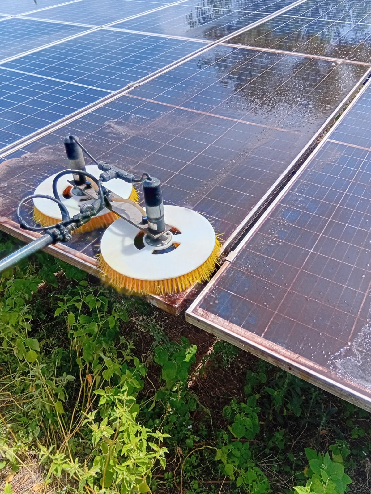 Ground-mounted solar array in a grass field