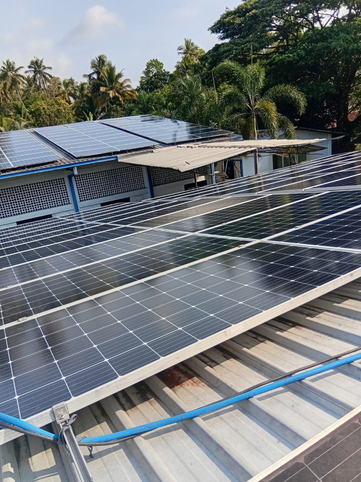 Fully cleaned rooftop array among palm trees