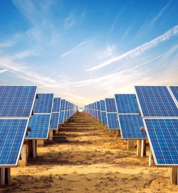 Untitled-design-2022-02-10T124016.253